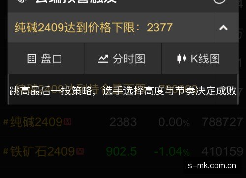 跳高最后一投策略,选手选择高度与节奏决定成败 跳高最后一投策略,选手选择高度与节奏决定成败